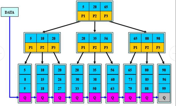 image-20201223215140821