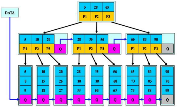 image-20201223220236107